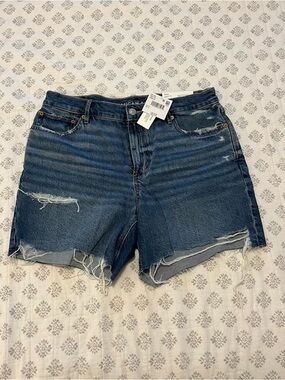American Eagle 6” Strigid Super High-Waisted Relaxed Denim Short